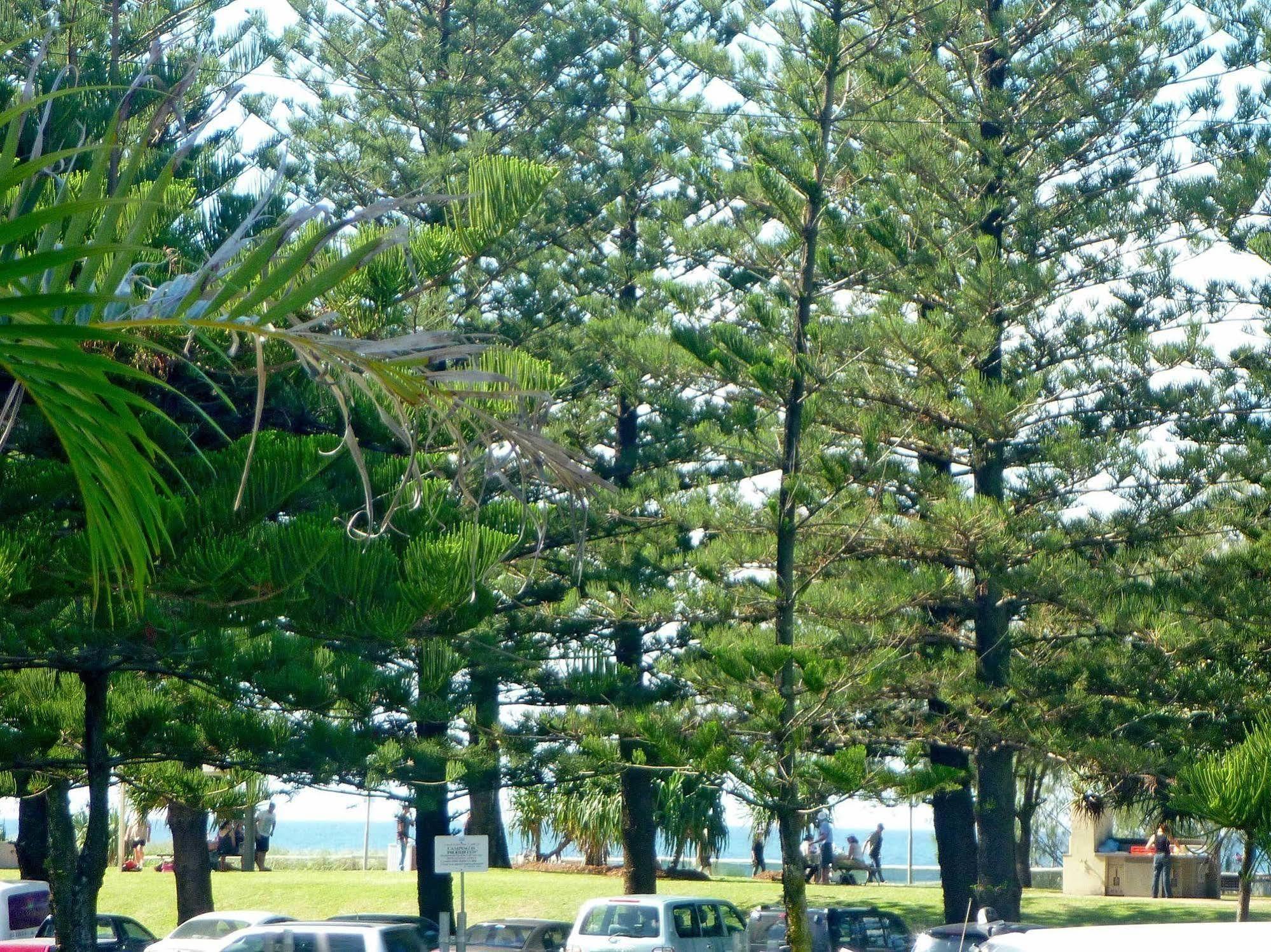 Main Beach Tourist Park Exterior foto
